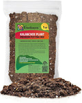 Gardenera Kalanchoe Plant Premium Potting Mix - Optimize Growth with Natural Ingredients - 1 Quart