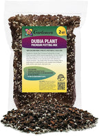 Gardenera Monstera Dubia Soil Mix - Promotes Healthy Root Growth and Moisture Retention - 2 Quart