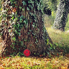 1Pc Red Fairy Garden Door for Tree, Fairy Doors for Trees Outdoor and Tree Trunk, Mini Fairys Gardens Sculpture Lawn Ornament Decor, Fairytales Door Decoration，Garden Miniatures