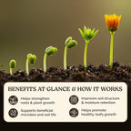 Garden Soil Supplement Mix, Potting Soil Outdoor Plants, Infused with Worm Castings & Vital Blend Activated Charcoal, All-Purpose Potting Soil for Vegetables and Plants, 10 lb Box