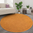 Round Area Rugs for Bedroom Living Room, 4x4 Orange Super Soft Comfy Thickened Memory-Foam Indoor Circle Carpets, Modern Aesthetic Minimalist Carpet for Boys Girls Adults Nursery Home Décor