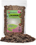 Gardenera Caladium Potting Mix - Promote Strong Roots and Captivating Patterns with Our Premium Blend - 4 Quart