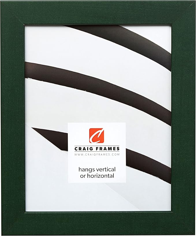 Craig Frames Colori 125, 24x32 Picture Frame, Verde Green