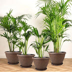 4 Pack 10 Inch Plant Pot, Flower Pots Outdoor with Drainage Hole & Tray, Thickened Plastic Planters for Indoor Outdoor Plants, Lightweight Modern Decorative Garden Pot with Saucer