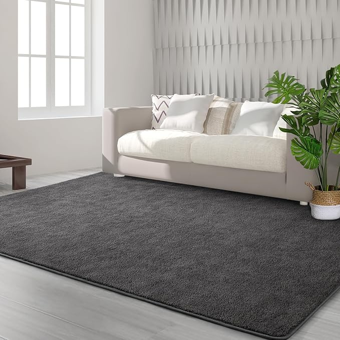 Area Rugs for Bedroom Living Room, 4x6 Dark Grey Super Soft Comfy Thickened Memory-Foam Indoor Carpets, Modern Aesthetic Minimalist Carpet for Boys Girls Adults Apartment Nursery Home Décor