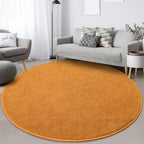 Round Area Rugs for Bedroom Living Room, 4x4 Orange Super Soft Comfy Thickened Memory-Foam Indoor Circle Carpets, Modern Aesthetic Minimalist Carpet for Boys Girls Adults Nursery Home Décor