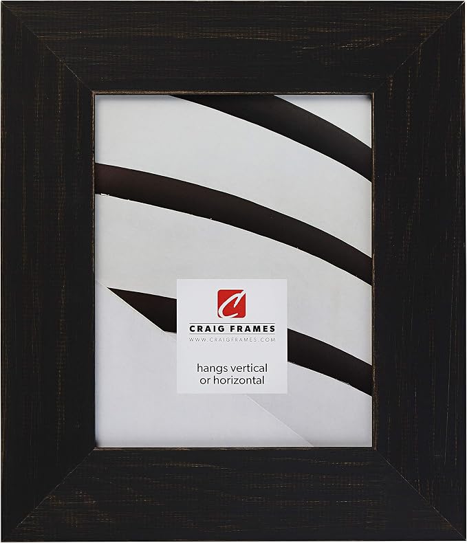Craig Frames Jasper Wide Picture Frame, 24 x 30 Inch, Country Charcoal Black