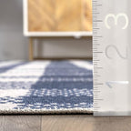 nuLOOM Rianne Machine Washable Plaid Farmhouse Ultra Thin Area Rug, 8' x 10', Blue