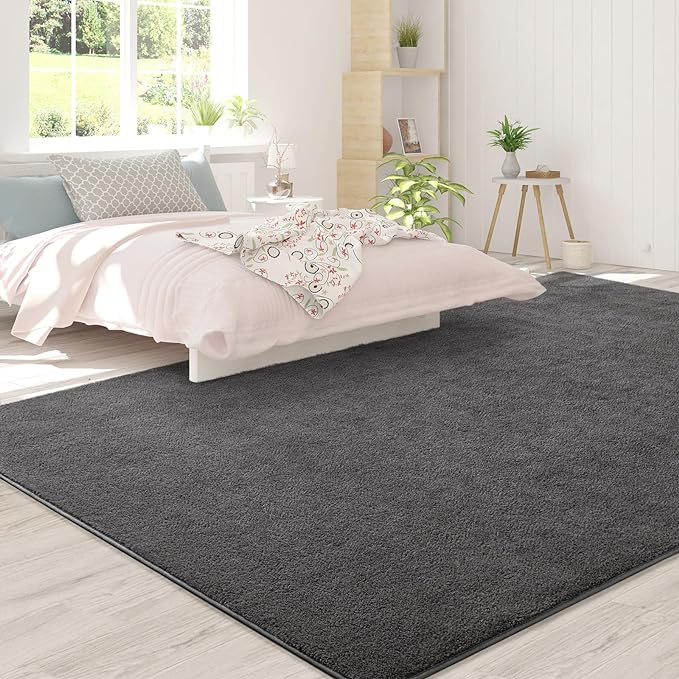 Area Rugs for Bedroom Living Room, 4x6 Dark Grey Super Soft Comfy Thickened Memory-Foam Indoor Carpets, Modern Aesthetic Minimalist Carpet for Boys Girls Adults Apartment Nursery Home Décor
