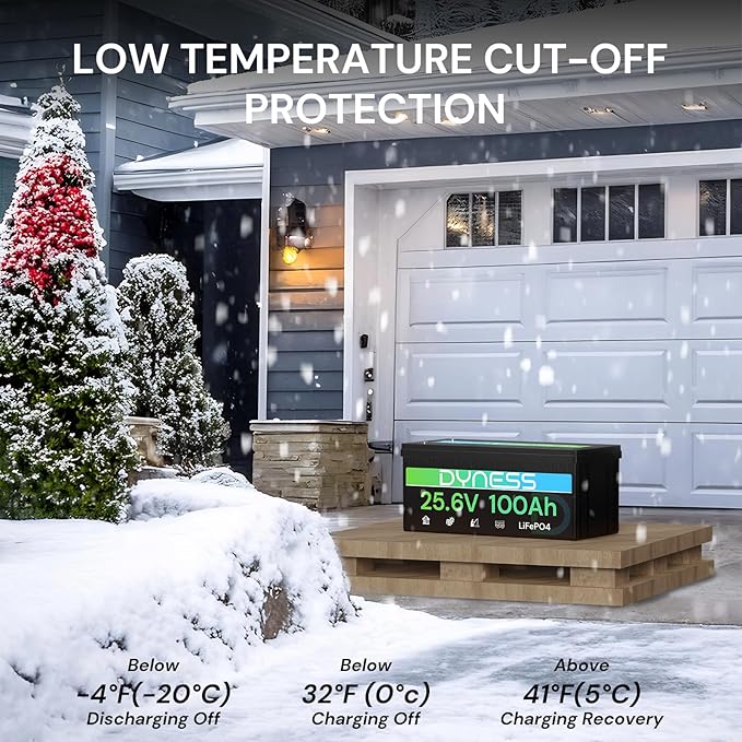 24V 100Ah LiFePO4 Battery, 25.6V Lithium Battery with 2560Wh Power, Built-in 100A BMS with Low Temp Protection, Supports 4P2S Connection, Up to 20.48kWh, Perfect for RV, Solar System, Marine
