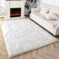 Super Soft Fluffy Shaggy Rugs 3x5 Feet for Living Room Bedroom, Fuzzy Plush Area Rugs for Girls Kids Room Nursery Home Decor, Furry Dorm Rug Cute Non-Slip Indoor Floor Carpet, Cream White