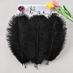 THARAHT Black Ostrich Feathers 24pcs Natural Bulk 8-10Inch 20cm-25cm for Crafts Wedding Party Centerpieces Halloween and Home Decoration Feathers