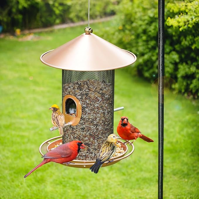 Bird Feeder for Outdoor, Metal Wild Bird Feeder Hanging Outside, 7.5" Copper Roof and 360 Degree Feeding Tray with 2 Extra Feeding Ports, 3 Lbs Bird Seeds Capacity