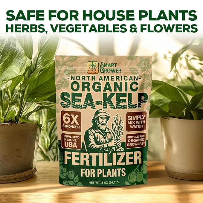 Organic Sea Kelp Fertilizer for Plants – Water-Soluble – Makes 50 Gallons – Kelp Meal Concentrate Plant Food – for Indoor Gardens, Hydroponics, Vegetables, Houseplants - Smart Grower - 2oz Bag