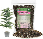 GARDENERA Premium Araucaria Potting Soil Mix - Perfect Balance of Nutrients, Drainage, and Aeration for Healthy Araucaria Trees - 5 Quart