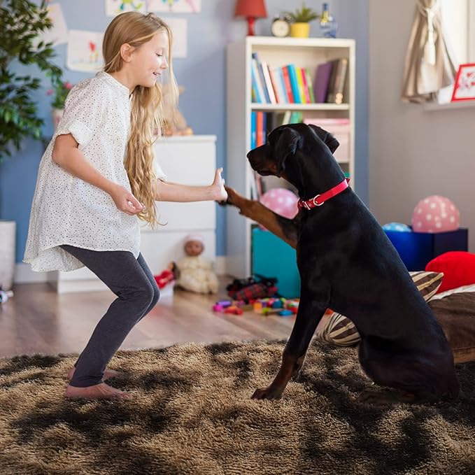 YOBATH Fluffy Area Rugs for Living Room - Shag Rug 5x7 Coffee Carpet, Shaggy Rugs for Girls Boys Bedroom, Furry Rugs for Baby Kids Room, Fuzzy Plush Rugs for Playroom Nursery Home Dorm