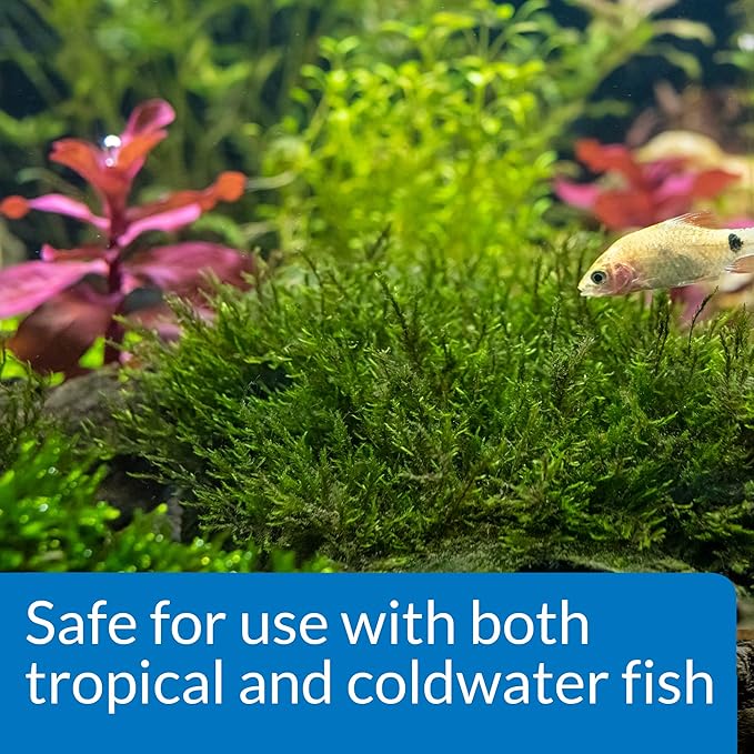 API ROOT TABS Freshwater Aquarium Plant Fertilizer 0.4-Ounce 10-Count Box