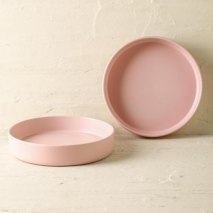 Stone Lain Albie Stoneware Bowl Set, 4-Piece Pasta Bowls for Kitchen, Ceramic Serving for Noodles, Fruit, Cereal, Dinner - Microwave & Dishwasher Safe, Pink
