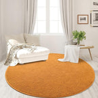 Round Area Rugs for Bedroom Living Room, 4x4 Orange Super Soft Comfy Thickened Memory-Foam Indoor Circle Carpets, Modern Aesthetic Minimalist Carpet for Boys Girls Adults Nursery Home Décor
