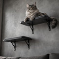 Cat Wall Shelves Set of 2, Black Solid Wood Cat Window Perch with Grey Sisal Cushion, Wall-Mounted Space-Saving Climbing Bed, Lounging Shelf for Kittens & Cats, Black Furniture for Indoor