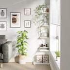 Small Corner Shelf, Modern 5-Tier Wall Corner Bookshelf, Stylish Bookcase Storage Rack for Small Space,Living Room. Bedroom