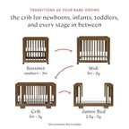 Babyletto Yuzu Convertible All-Stages Bassinet, Midi, Full-Size Crib in Natural Walnut, Greenguard Gold Certified, Portable & Adjustable with Conversion Kits and Pads Included
