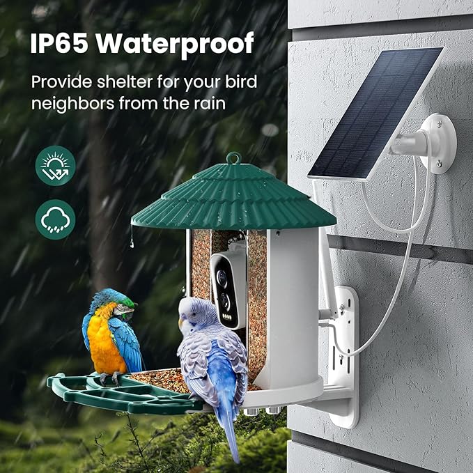 Bird Feeders for Outdoors, Smart Bird Feeder with Camera Solar Powered, AI Species Identification, 3K Video Live Stream Camera, 5Mp HD Night Vision, Instant Arrival Alerts