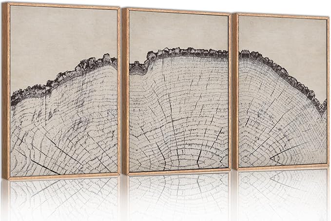 HPINUB Vintage Wood Tree Rings Wall Art Set, Framed Canvas Paintings, Black and White Nature-Inspired Decorative for Modern Home Decor for Living Room, Bedroom, Dining Room, Office- 24"x36"x3