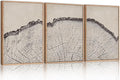 HPINUB Vintage Wood Tree Rings Wall Art Set, Framed Canvas Paintings, Black and White Nature-Inspired Decorative for Modern Home Decor for Living Room, Bedroom, Dining Room, Office- 24"x36"x3