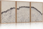 HPINUB Vintage Wood Tree Rings Wall Art Set, Framed Canvas Paintings, Black and White Nature-Inspired Decorative for Modern Home Decor for Living Room, Bedroom, Dining Room, Office- 24"x36"x3