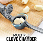 Zulay Kitchen Premium Garlic Press Set - Rust Proof Professional Garlic Mincer Tool - Easy-Squeeze, Easy-Clean with Soft, Ergonomic Handle - Silicone Garlic Peeler & Brush (Slate)
