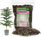 GARDENERA Premium Araucaria Potting Soil Mix - Perfect Balance of Nutrients, Drainage, and Aeration for Healthy Araucaria Trees - 3 Quart