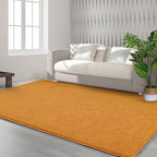 Area Rugs for Bedroom Living Room, 4x6 Orange Super Soft Comfy Thickened Memory-Foam Indoor Carpets, Modern Aesthetic Minimalist Carpet for Boys Girls Adults Apartment Nursery Home Décor