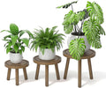 3-Pack Wood Plant Stands Indoor, Single Plant Stand for 6-12 Inch Pots, Mid-Century Modern Plant Stool, Tall Plant Stand for Large Plants for Living Room, Balcony, Office (Dark Gray)