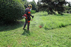 2-Stroke Gas Brush Cutter Pro-Grade String Trimmer EPA Compliant Orange Heavy-Duty Weed Eater Lawn & Overgrowth Clearing Tool