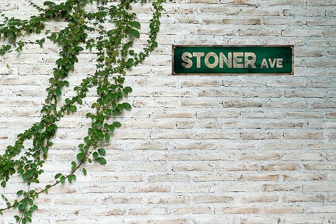 Vintage Tin Sign Retro Metal Stiner Ave Signs Stylish Wall Art Plaques for Home Decor Bathroom Kitchen House and Gothic Wall Decor or as a Unique Poster 16x4 in