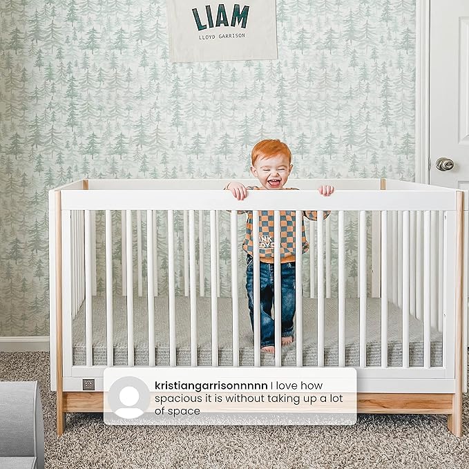 GAP babyGap Tate 4-in-1 Convertible Crib - Greenguard Gold Certified, Ebony/Natural