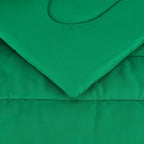 Amazon Basics 2 Piece Microfiber Kid's Bed-in-a-Bag Bedding Set, Toddler, Green, Solid