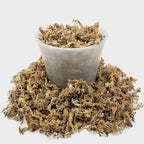 Gardenera Sphagnum Moss Potting Mix for Carnivorous Plants, Moss and Perlite Blend for Potting Venus Fly Traps, Sarracenia, Pitcher Plants - 75% Sphagnum Moss + 25% Perlite - Made in USA - 2 Quart