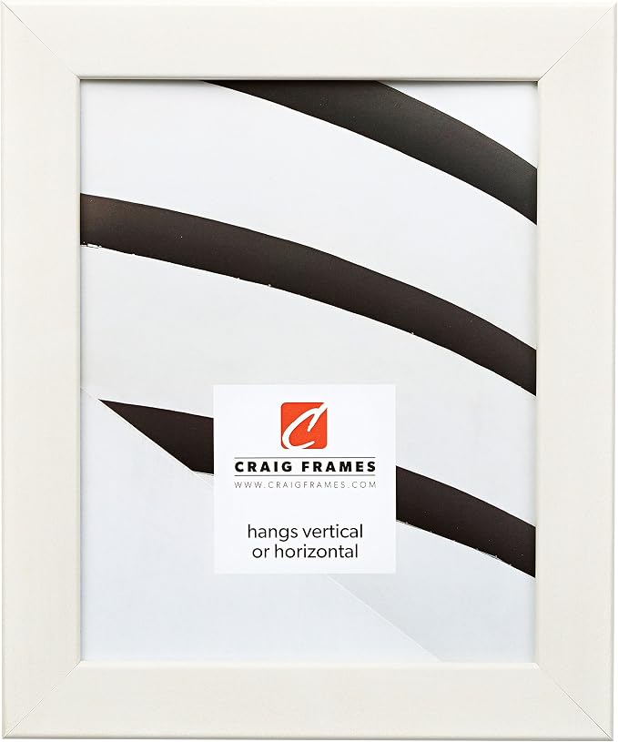 Craig Frames Colori 125, 14x22 Picture Frame, Blanco White