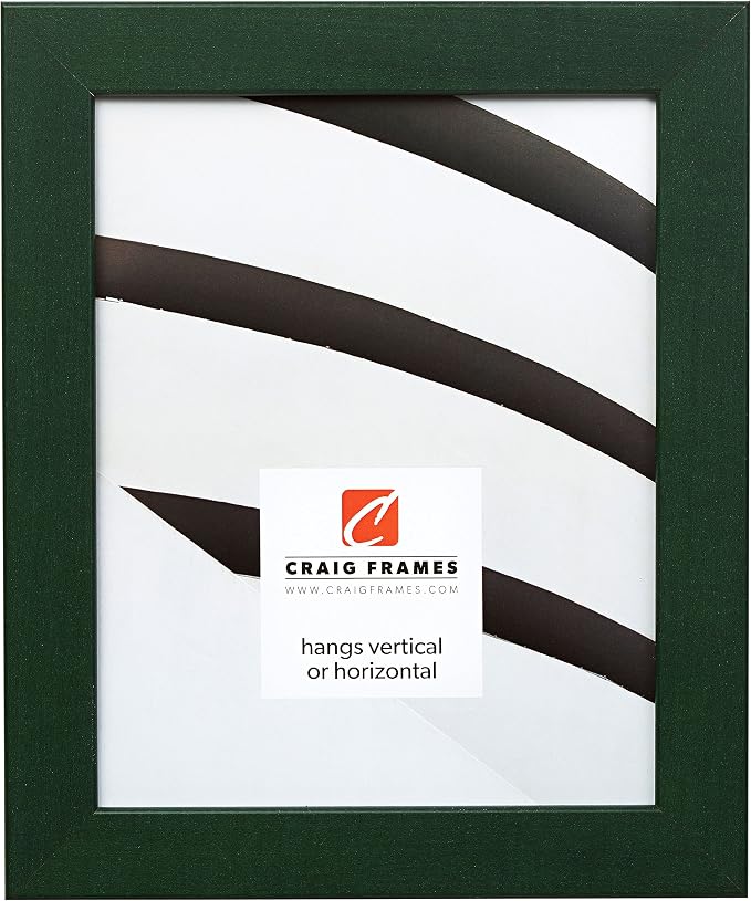 Craig Frames 26026 20 by 20-Inch Picture Frame, Smooth Wrap Finish, 1.26-Inch Wide, Green