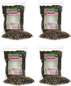 GARDENERA Premium Araucaria Potting Soil Mix - Perfect Balance of Nutrients, Drainage, and Aeration for Healthy Araucaria Trees - 20 Quart