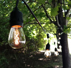 Hometown Evolution, Inc. E26 Outdoor Commercial String Lights with Suspended Socket for Weatherproof Heavy Duty Vintage Outside Lighting (S14 Zig Zag Edison 11 Watt Bulbs, 50 Foot 25 Socket)