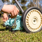 American Lawn Mower Company 1304-14GC 14-Inch 5-Blade Push Reel Lawn Mower with Grass Catcher, Mint