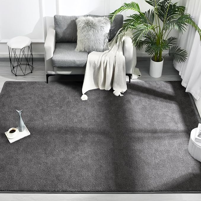 Area Rugs for Bedroom Living Room, 4x6 Dark Grey Super Soft Comfy Thickened Memory-Foam Indoor Carpets, Modern Aesthetic Minimalist Carpet for Boys Girls Adults Apartment Nursery Home Décor