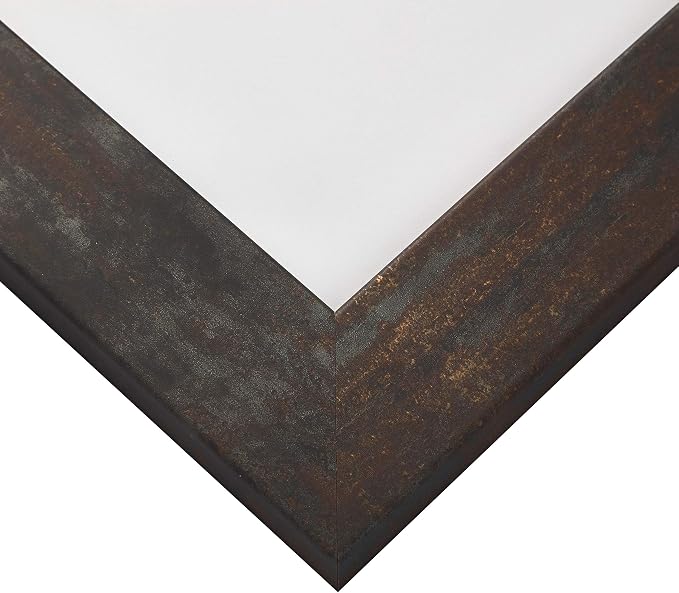 Craig Frames 20x26 Weathered Steel Picture Frame for Posters and Wall Decor | Lightweight shatter resistant acrylic facing with a rigid backing board, made in the USA