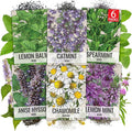 Seed Needs Medicinal Herb Seeds Variety Pack of 6 Tea & Infusion Collection